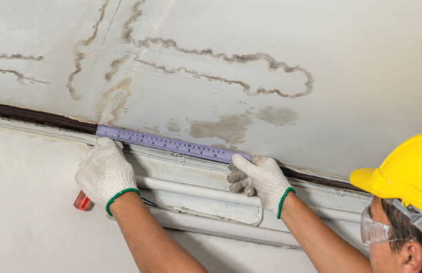 24/7 Emergency Structural Drying experts in Mulliken, MI