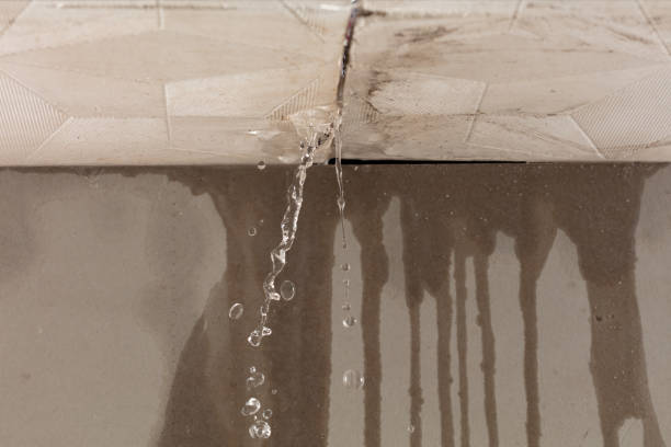 Professional Structural Drying technician working in Mulliken, MI